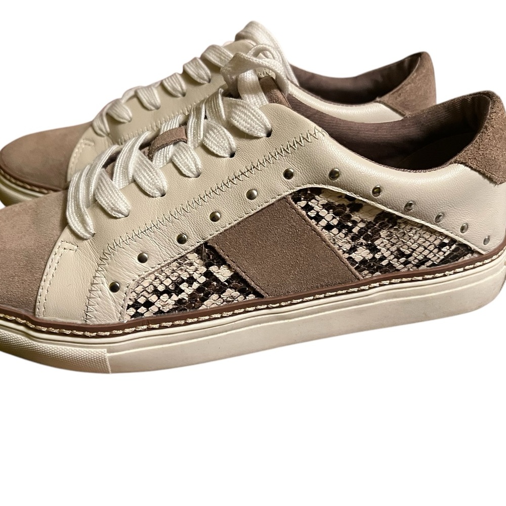 Crown Vintage Cream and Brown Casual Sneakers